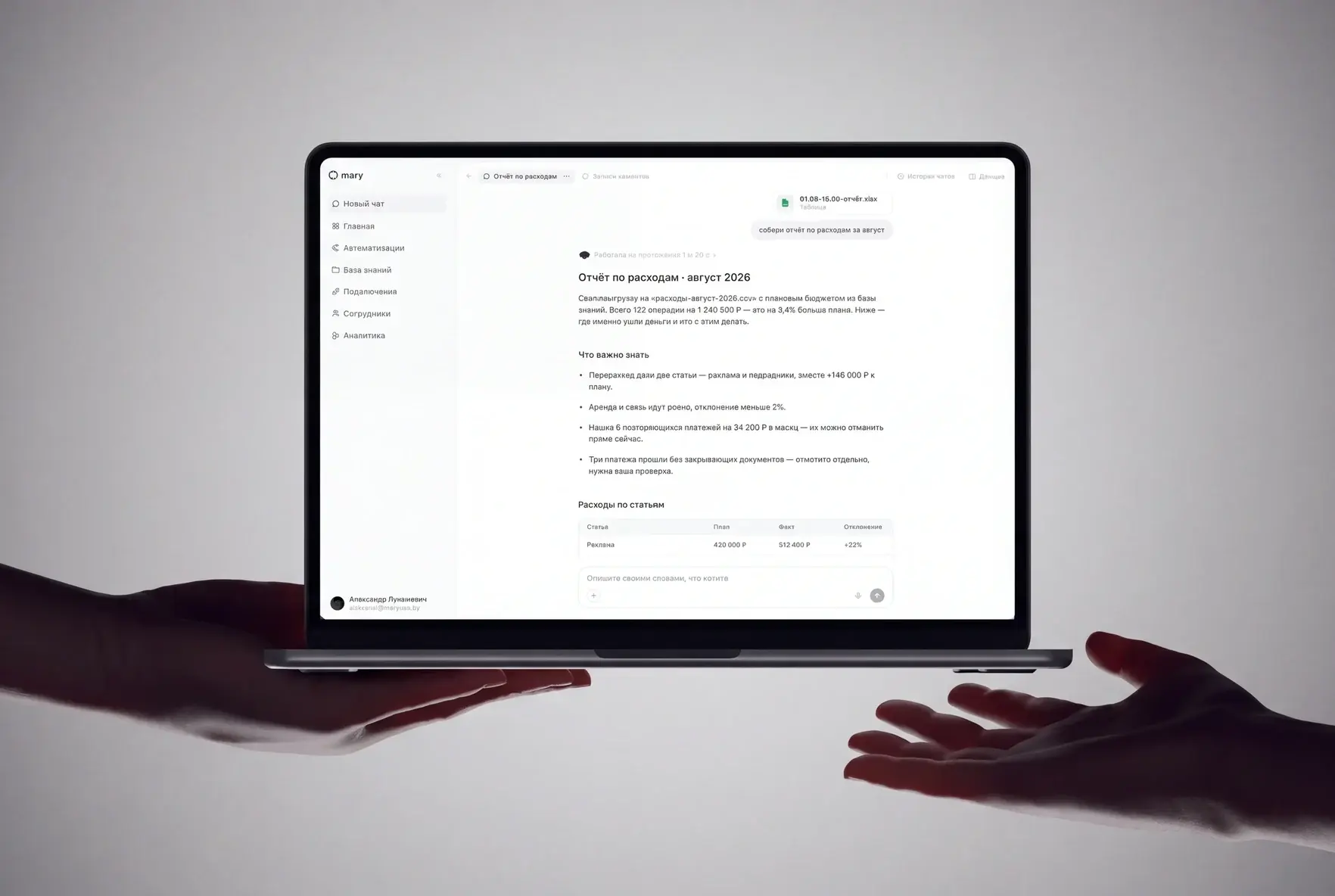 Платформа Mary на ноутбуке: отчёт по расходам и данные компании